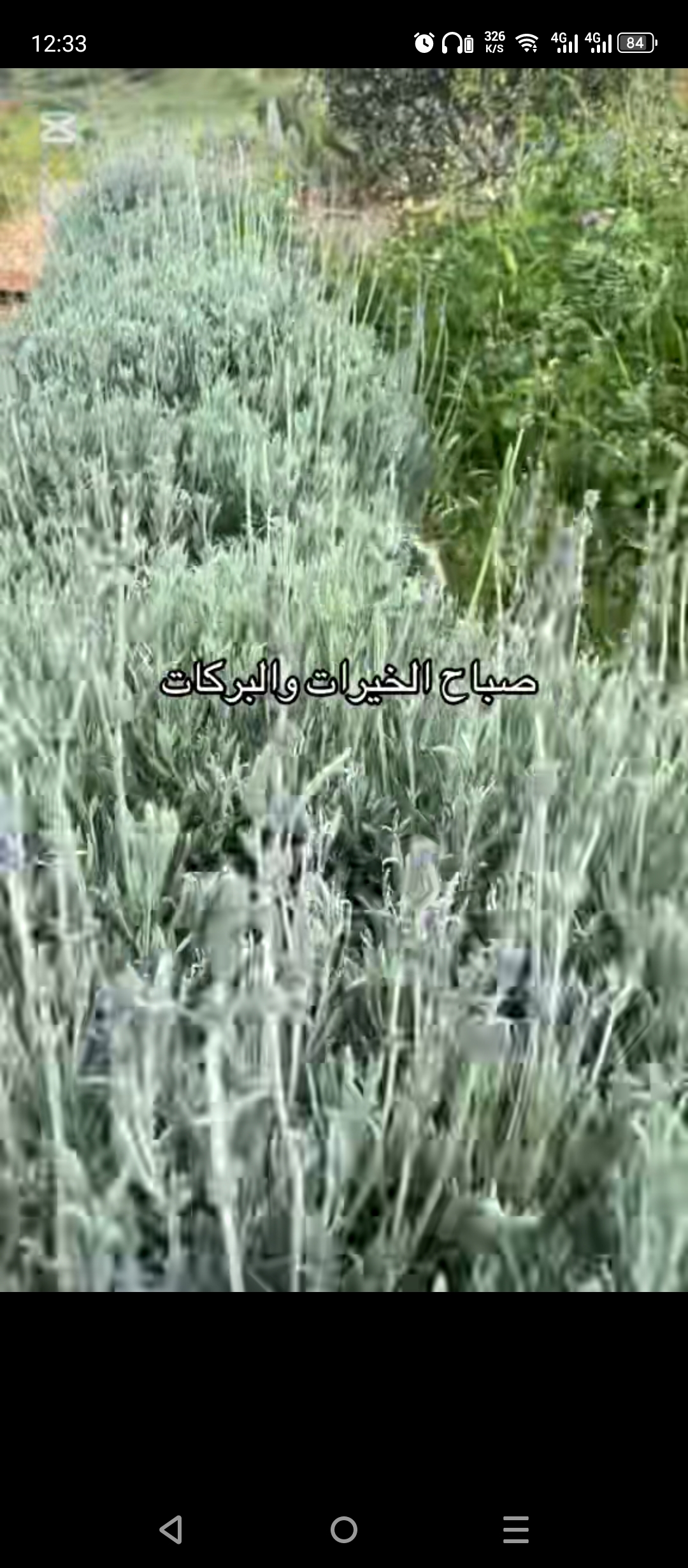 Les fleurs du capbon