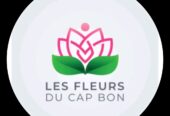 Les fleurs du capbon